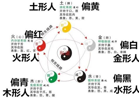 五行面相|面相学——五行人